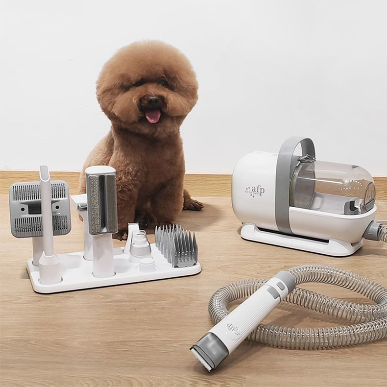 Grooming Scissors - Kit de toilettage pour animaux de
