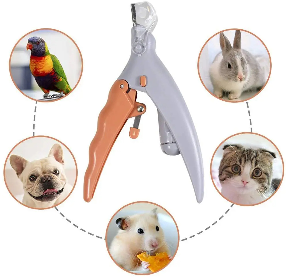 Ciseaux coupe-ongles professio - Grooming Scissors avis et prix